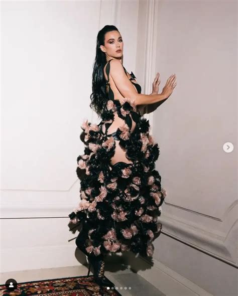 katy perry nipples|Katy Perry’s Leather Naked Dress Showcases Starfish Nipple。